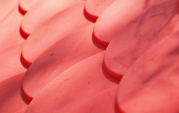 Torness plastic roof costs