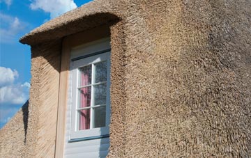 Torness thatch roof disadvantages